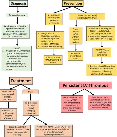 risk factors for lv thrombus